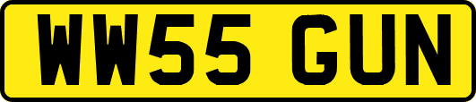 WW55GUN