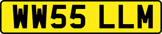 WW55LLM