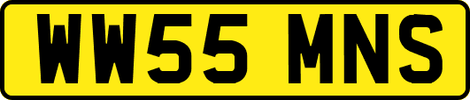 WW55MNS