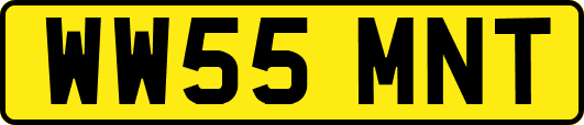 WW55MNT