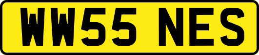 WW55NES