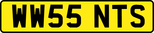 WW55NTS