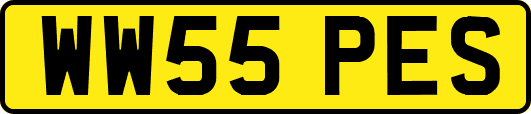 WW55PES