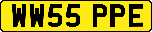 WW55PPE