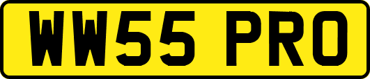 WW55PRO