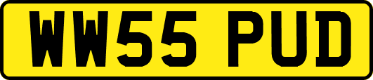WW55PUD