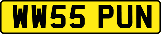 WW55PUN