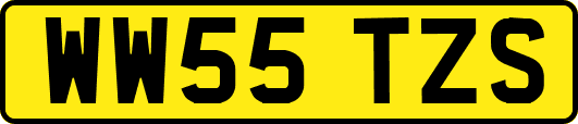 WW55TZS