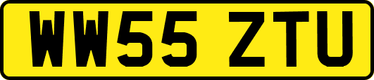 WW55ZTU