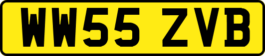 WW55ZVB