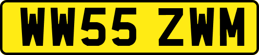 WW55ZWM