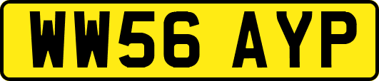 WW56AYP