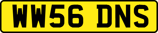 WW56DNS