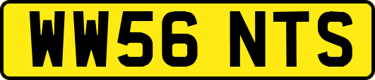 WW56NTS