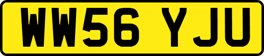 WW56YJU