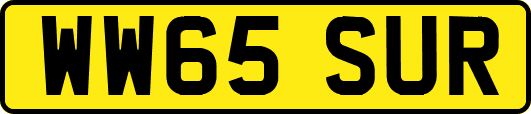 WW65SUR
