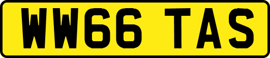 WW66TAS