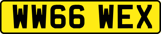 WW66WEX