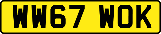 WW67WOK