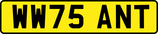 WW75ANT