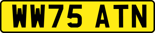 WW75ATN