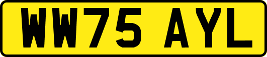 WW75AYL
