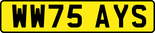 WW75AYS