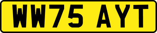 WW75AYT