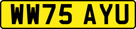WW75AYU