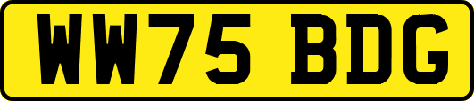 WW75BDG