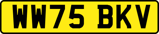 WW75BKV
