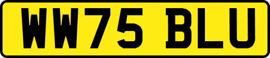 WW75BLU