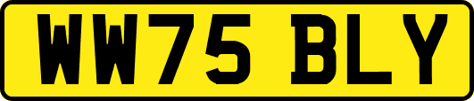 WW75BLY