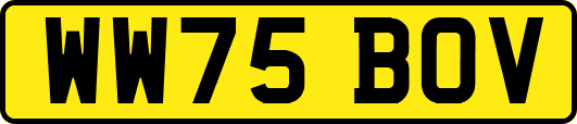 WW75BOV