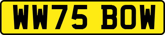 WW75BOW