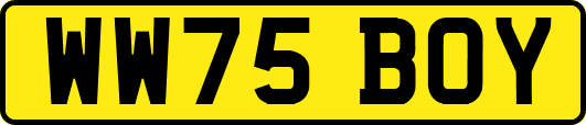 WW75BOY