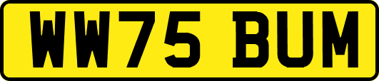 WW75BUM