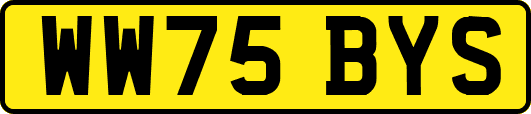 WW75BYS