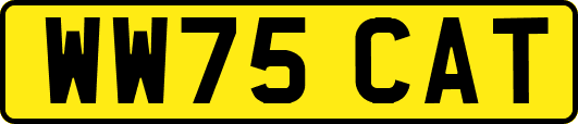 WW75CAT