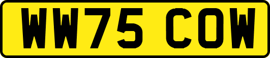 WW75COW