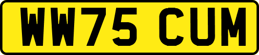 WW75CUM