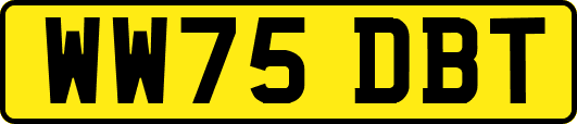 WW75DBT
