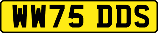WW75DDS
