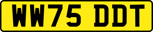 WW75DDT