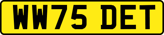 WW75DET
