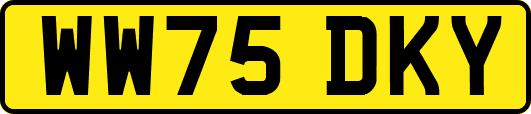 WW75DKY