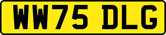 WW75DLG