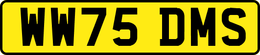 WW75DMS