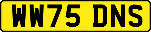 WW75DNS