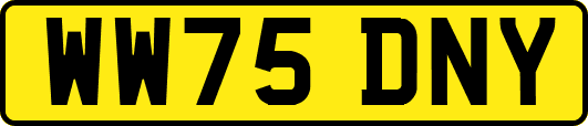 WW75DNY